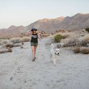 hiking mountain dog