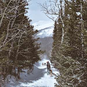 Caribou Hut