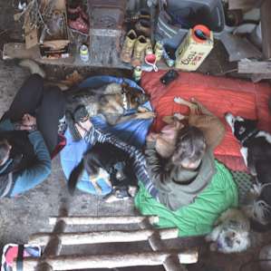 Caribou Hut