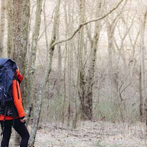 Beautiful and vast forests to hike and explore.
