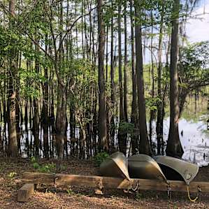 Caddo Lake Campground