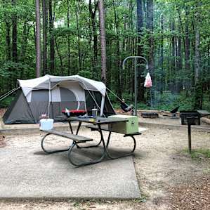 Caddo Lake Campground