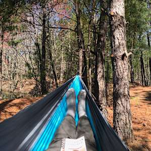 Great place to hang a hammock and read a book right on the water!