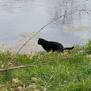 Dubbed "Panther" by my oldest. We couldn't find him/her before we left... say bye for us!