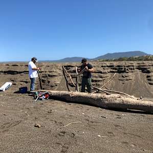 Oceanfront Pasture Camping