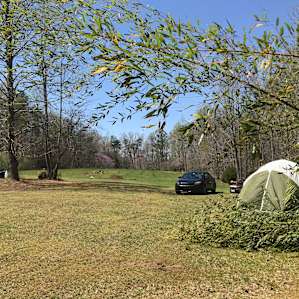 Our whole camp