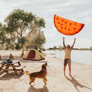 tent dog swimming