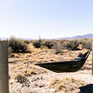desert hammock activity