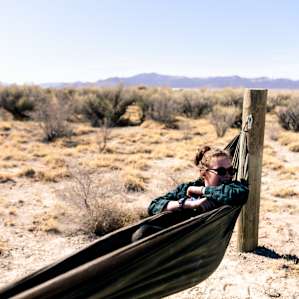 desert hammock activity