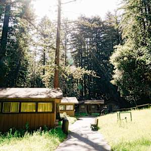 cabin forest lodging