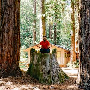 cabin forest people