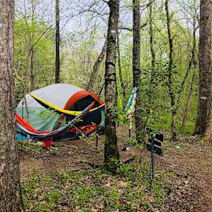magical eno forest