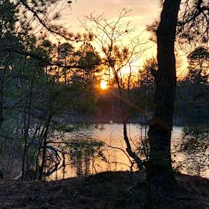 Hidden Lakeside Site w/ Boats Inc.!