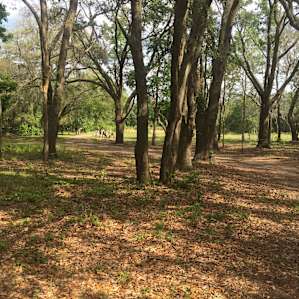 Lowcountry Camping near Beach