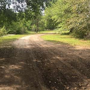 Lowcountry Camping near Beach