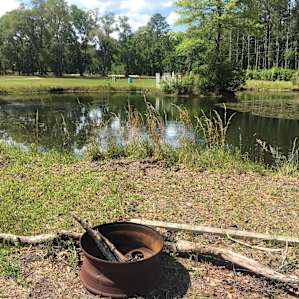 Lowcountry Camping near Beach