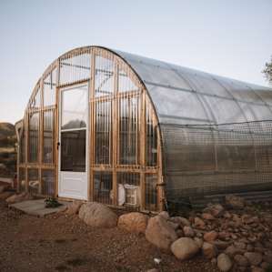 The greenhouse