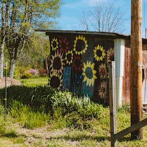 Green Willow Farm Camping