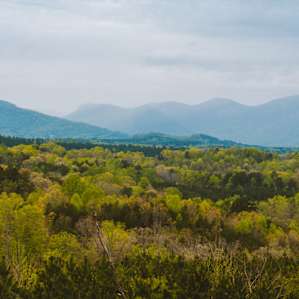 The kind of views to expect during your stay. So peaceful.