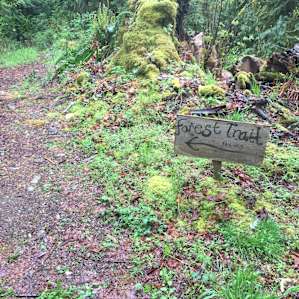 Just up the trail from our campsite.