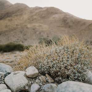 mountain
