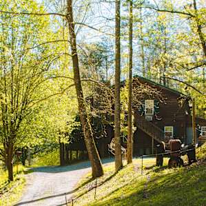 The cabin is nestled up against the woods, and is quite inviting!