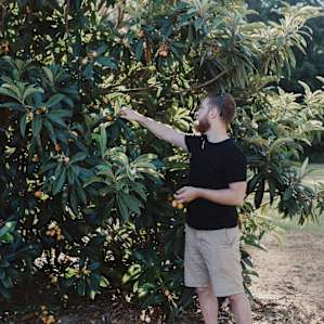I had to drag Josh away from the fig tree. He wouldn't stop grabbing them!