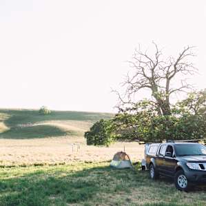 Post up under the tree for some natural shade!