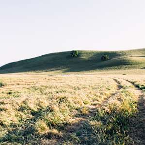 Fields for days.