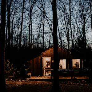 cabin forest lodging