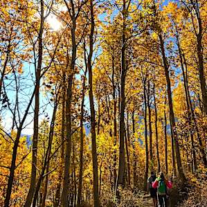 The fall colors were spectacular
