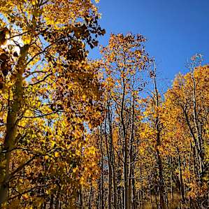 The fall colors were spectacular