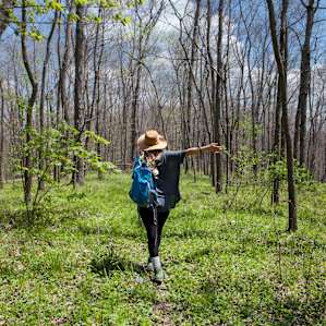 Up on a ridge on the "Dad's Woods" trail.