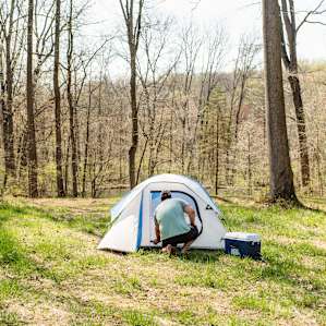 tent forest people