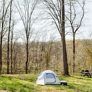tent forest picnic table