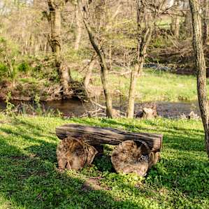 Resting stump by the creek.
