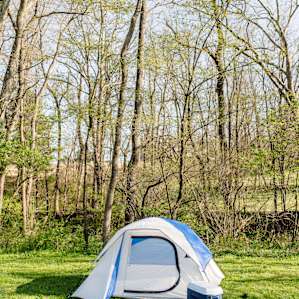 tent forest lodging
