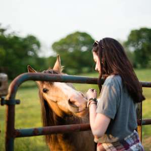 Getting to know the horses at Dark Horse Farm.