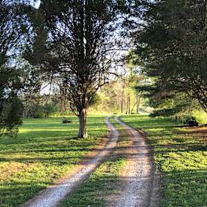 MoonLight Grove Farm