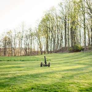 The front lawn is absolutely beautiful!