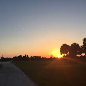 Beautiful Florida Horse Country