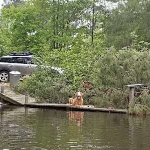 Dockside Bluff