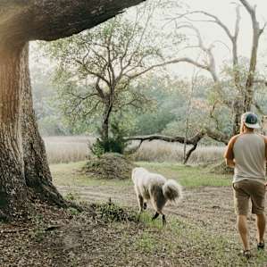 Bear showing us around the property.