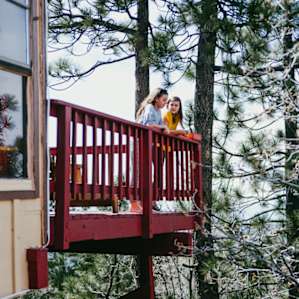 Amazing feeling of being up in the tree tops while on the back deck...