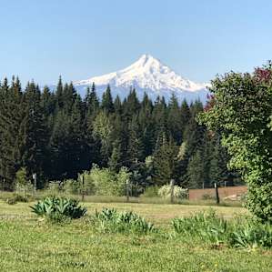 Tent Camping @ConTenTment Acres