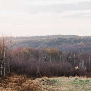 Views from near the Camp Haven driveway.