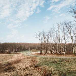 Looking back on the Camp Haven driveway.