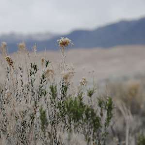 Great Sand Dunes National Park