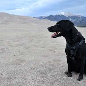 Sand Dunes Base Camp