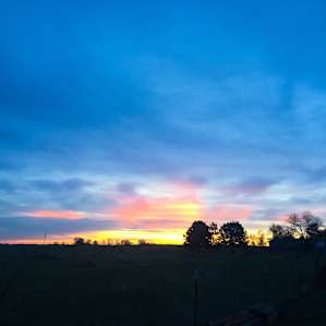 Chatfield Vista
